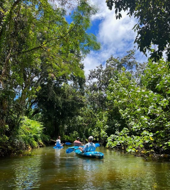 Oahu: Single & Double Kayak 3-Hour River Rental - Key points to know before you book
