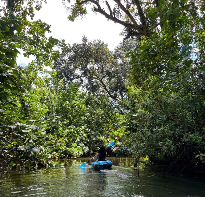 Oahu: Single & Double Kayak 3-Hour River Rental - Kahana River is the main event