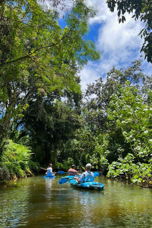 Oahu: Single & Double Kayak 3-Hour River Rental - Swimming from a sit-on-top kayak