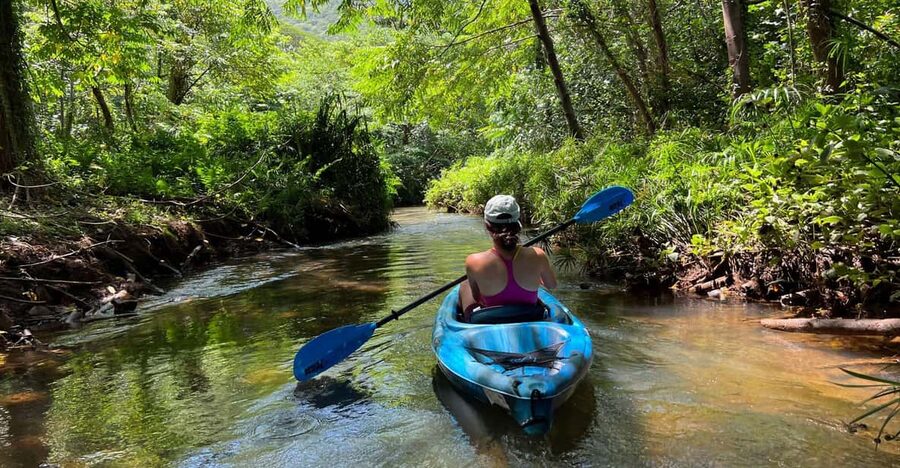 Oahu: Single & Double Kayak 3-Hour River Rental - Who will enjoy this rental most?