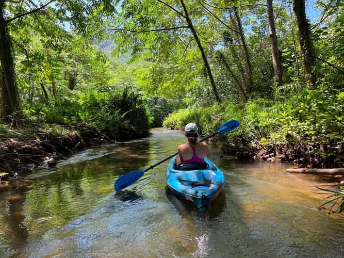 Oahu: Single & Double Kayak 3-Hour River Rental - Choosing between a single and double kayak