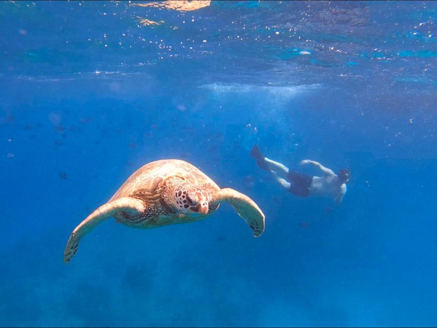 Oahu Snorkeling with Turtles, Water Scooter, Paddleboard - Who will enjoy this outing most?
