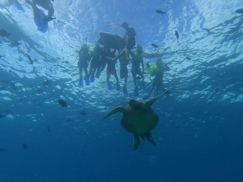 Oahu Snorkeling with Turtles, Water Scooter, Paddleboard - Turtle Canyon makes the two-hour outing worthwhile