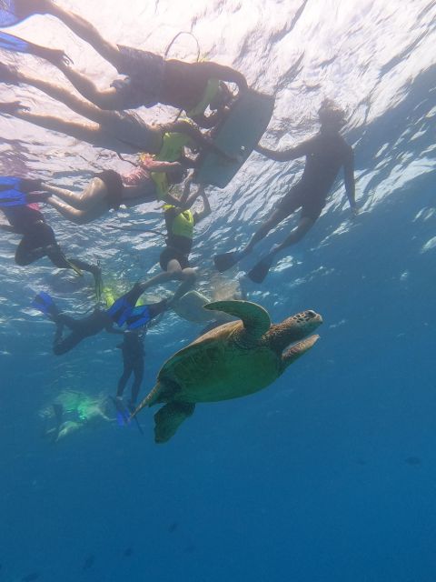 Oahu Snorkeling with Turtles, Water Scooter, Paddleboard - Musubi and cup noodles are more than a small snack