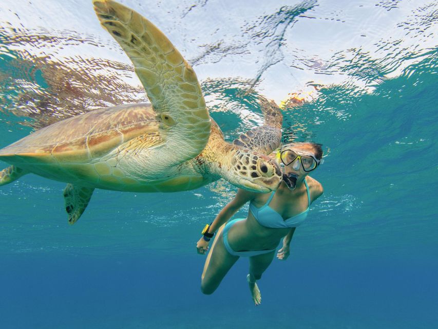 Oahu Snorkeling with Turtles, Water Scooter, Paddleboard - Multilingual support can make the trip easier