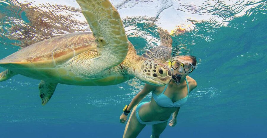 Oahu Snorkeling with Turtles, Water Scooter, Paddleboard - Is $120 a fair price?