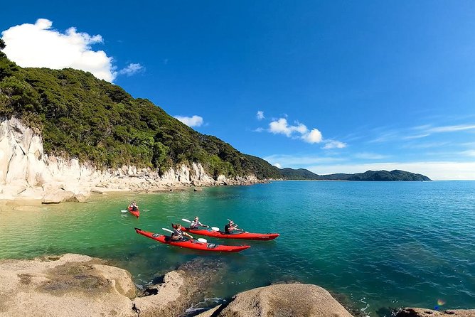 Oarsome Marine Reserve Kayak Tour - Key points to know before you book