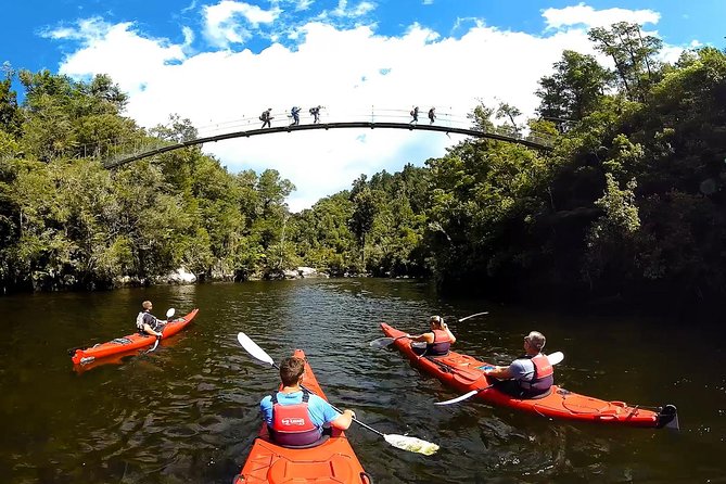 Oarsome Marine Reserve Kayak Tour - Weather, cancellations, and useful planning details