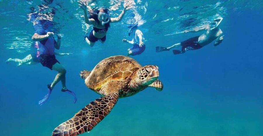 Ocean Reef Snorkeling and Paddleboarding - Key points at a glance