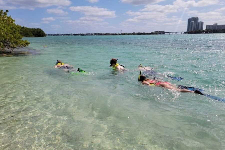 Ocean Reef Snorkeling and Paddleboarding - What the guides add to the outing