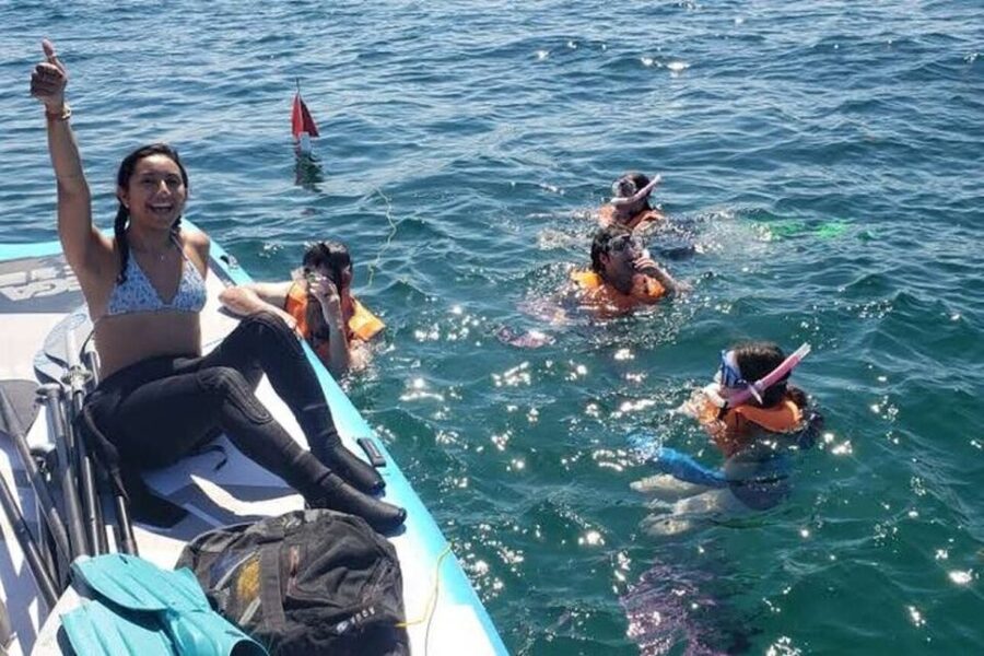 Ocean Reef Snorkeling and Paddleboarding - Is $99 a fair price?