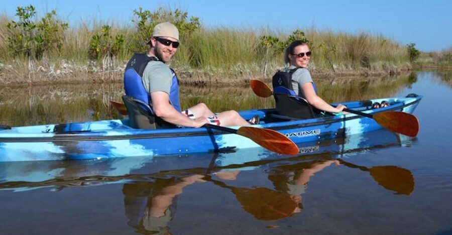 Ochopee: Half-Day Mangrove Tunnel Kayak Tour - Learning to steer before the river narrows