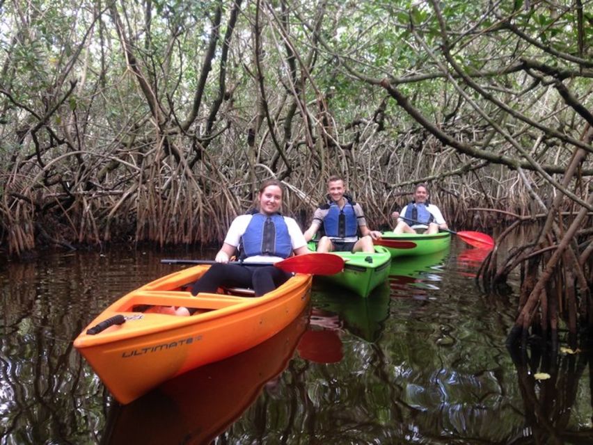 Ochopee: Half-Day Mangrove Tunnel Kayak Tour - Should you book the Turner River kayak tour?