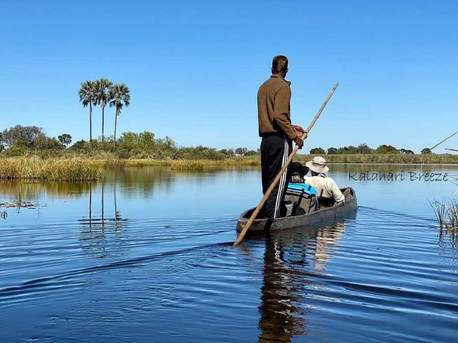 Okavango Delta: Full-Day Mokoro/Canoe Tour All-Inclusive - Why the Mokoro Ride Is the Main Event