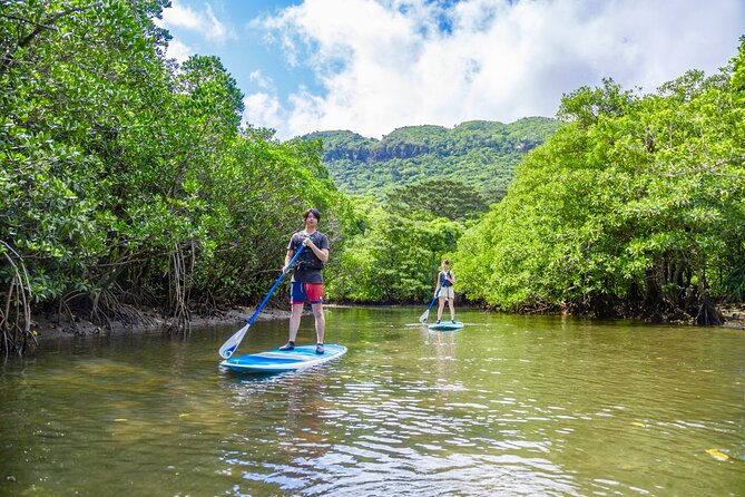 Okinawa Iriomote Mangrove SUP or Canoe Tour - Free photos are more useful than they sound