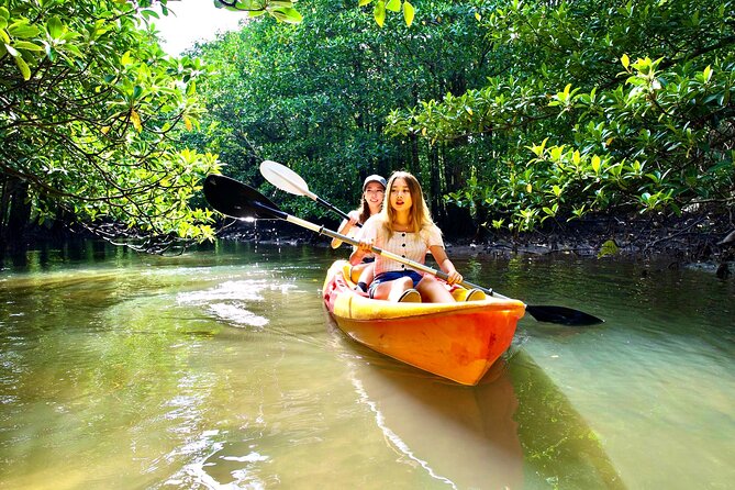 Okinawa Iriomote Mangrove SUP or Canoe Tour - How much value do you get for $52.40?