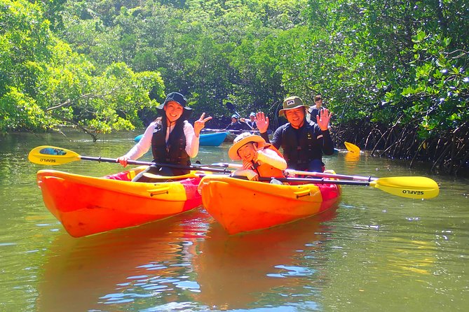 Okinawa Iriomote Mangrove SUP or Canoe Tour - Timing, pickup, and the small details that matter