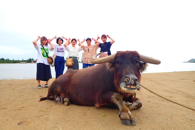 Okinawa Iriomote SUP or Canoe and Sightseeing in Yubujima Island - Yubu-jima brings a different kind of outing