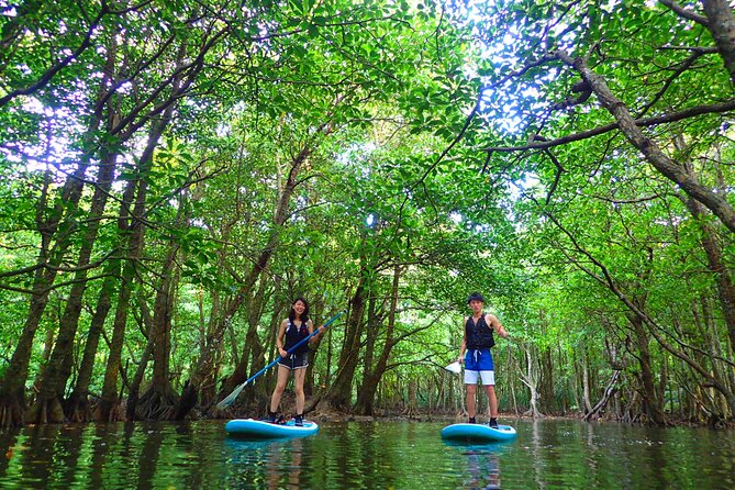 Okinawa Iriomote SUP or Canoe and Sightseeing in Yubujima Island - English support needs a little caution
