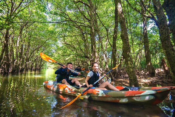Okinawa Iriomote SUP or Canoe and Sightseeing in Yubujima Island - What the first activity is like