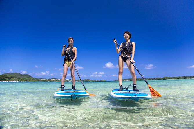 Okinawa Ishigaki Kabira Bay SUP or Canoe Tour - Key points at a glance
