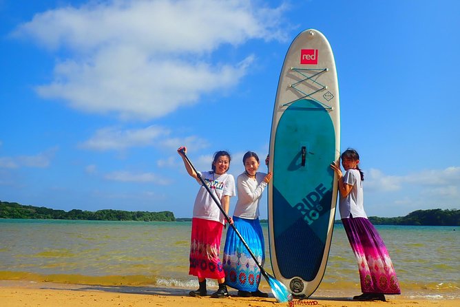 Okinawa Ishigaki Kabira Bay SUP or Canoe Tour - Choosing a SUP or canoe
