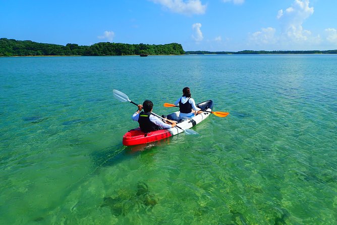 Okinawa Ishigaki Kabira Bay SUP or Canoe Tour - Who will enjoy this most