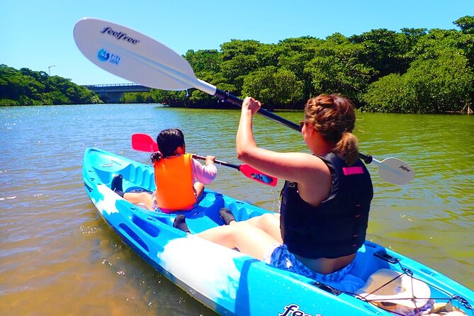 Okinawa Ishigaki Mangrove SUP or Canoe Tour - Key points to know before booking