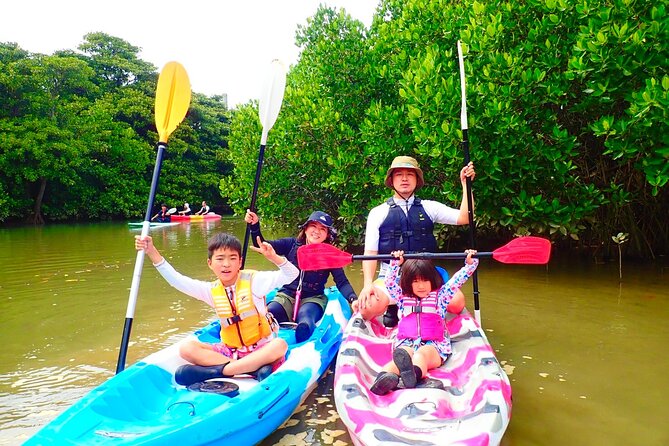 Okinawa Ishigaki Mangrove SUP or Canoe Tour - Paddling through Miyara River’s Hirugi Grove
