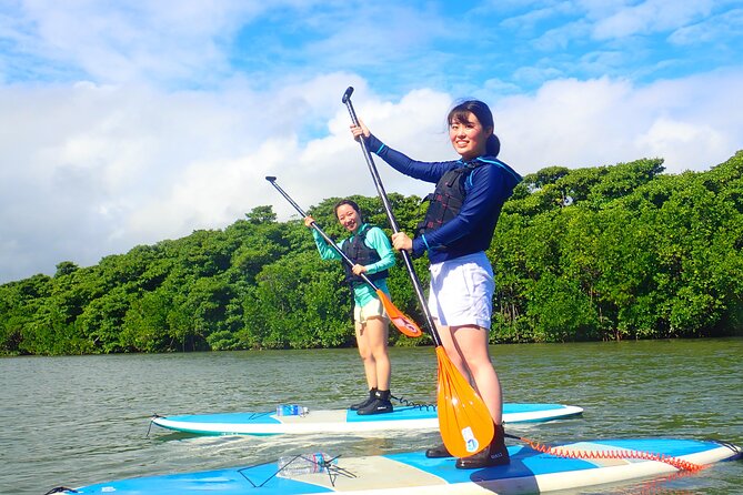 Okinawa Ishigaki Mangrove SUP or Canoe Tour - Why the mangroves are worth your time