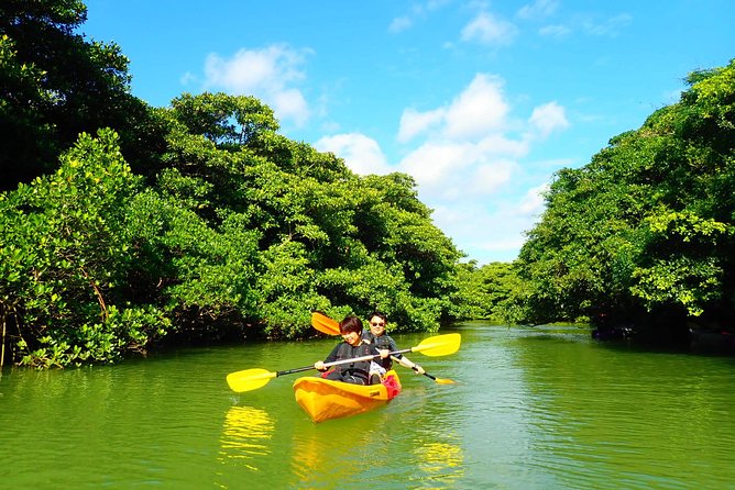 Okinawa Ishigaki Mangrove SUP or Canoe Tour - Choosing SUP or canoe