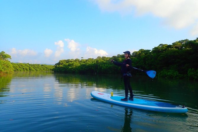 Okinawa Ishigaki Mangrove SUP or Canoe Tour - What to wear and what is provided