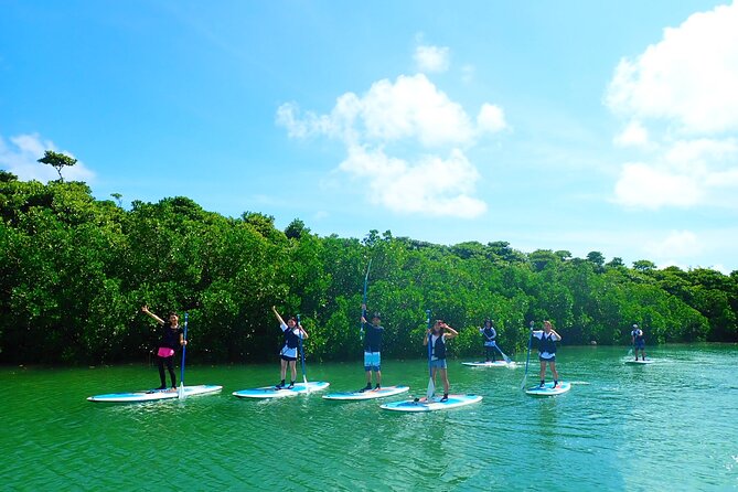 Okinawa Ishigaki Mangrove SUP or Canoe Tour - Meeting at Ishigaki Port