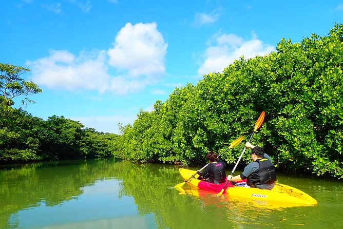 Okinawa Ishigaki Mangrove SUP or Canoe Tour - Weather and language considerations