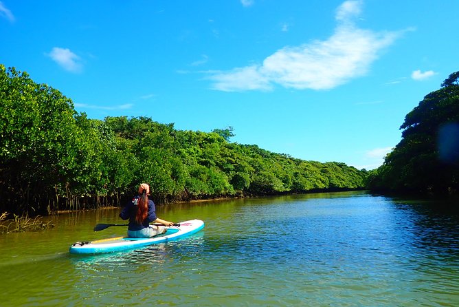 Okinawa Ishigaki Mangrove SUP or Canoe Tour - Is $52.19 a fair price?