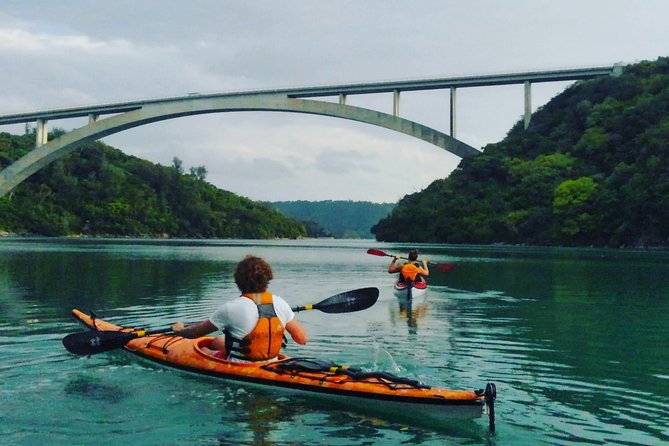 Okinawa: Kayak Mangroves & Ocean Native-English Private Tour - Key points at a glance