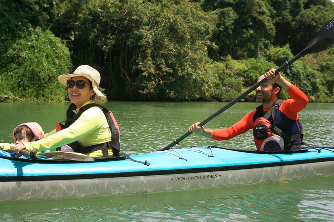 Okinawa: Kayak Mangroves & Ocean Native-English Private Tour - The first hour: mangroves, reefs, or the open coast
