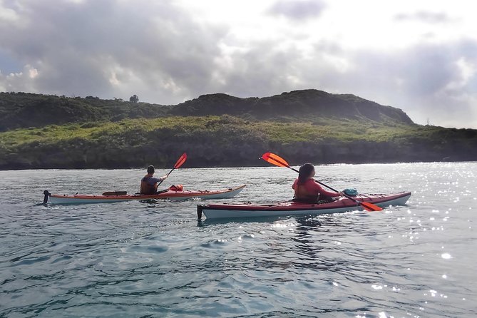 Okinawa: Kayak Mangroves & Ocean Native-English Private Tour - The second hour: a different view of the coast