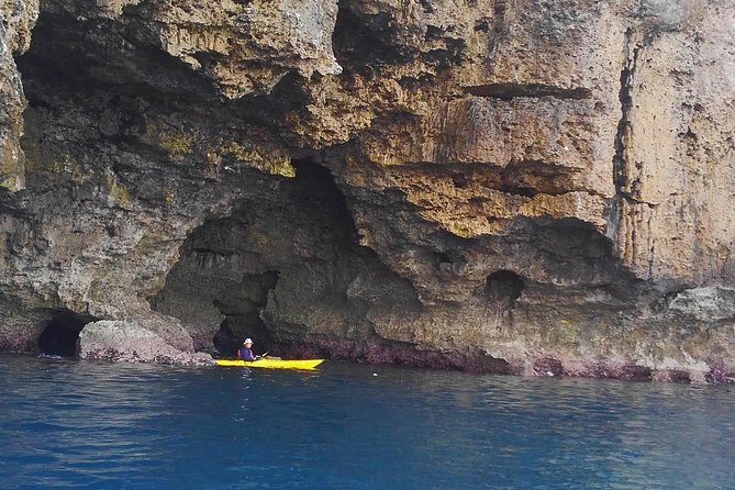 Okinawa: Kayak Mangroves & Ocean Native-English Private Tour - What the private format is really worth