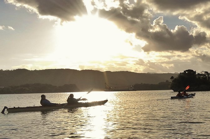 Okinawa: Kayak Mangroves & Ocean Native-English Private Tour - Who should book this Okinawa kayak tour