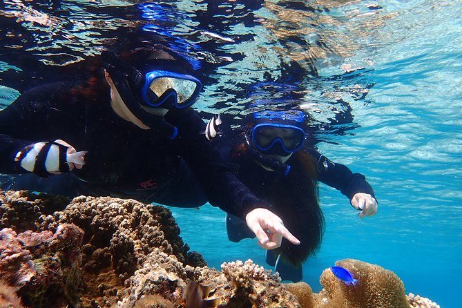 Okinawa Miyako 3set Beach SUP, Snorkeling,Pumpkin Cave,Canoeing - Canoeing to the Pumpkin Cave