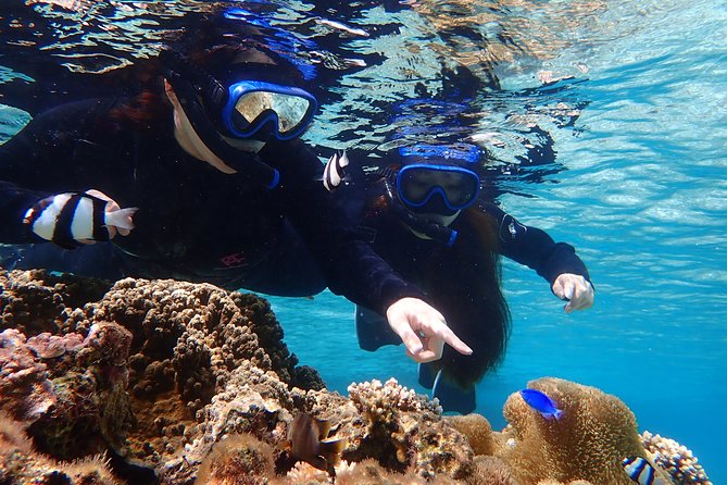 Okinawa Miyako Beach SUP or Canoe and sea turtle Snorkeling - What the guides provide for beginners
