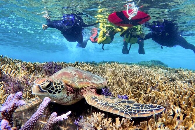 Okinawa Miyako Beach SUP or Canoe and sea turtle Snorkeling - What makes the photo service valuable