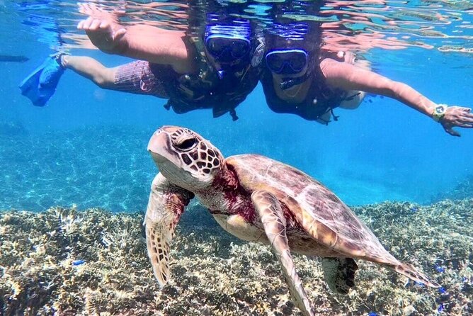 Okinawa Miyakojima 1 day Sea Turtle Snorkeling & Pumpkin Cave & Sea Kayak - Two Miyakojima highlights in one six-hour plan