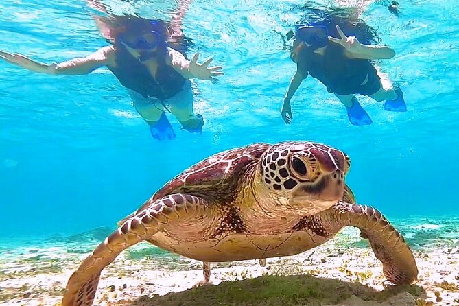 Okinawa Miyakojima 1 day Sea Turtle Snorkeling & Pumpkin Cave & Sea Kayak - Canoeing to Pumpkin Limestone Cave