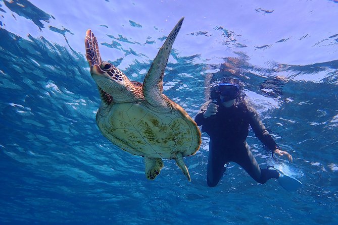 Okinawa Miyakojima 1 day Sea Turtle Snorkeling & Pumpkin Cave & Sea Kayak - Weather, tides, and physical demands