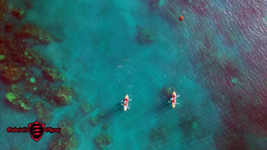 Olowalu: Guided Clear Kayak Tour - Unlimited - Who Will Enjoy This Most