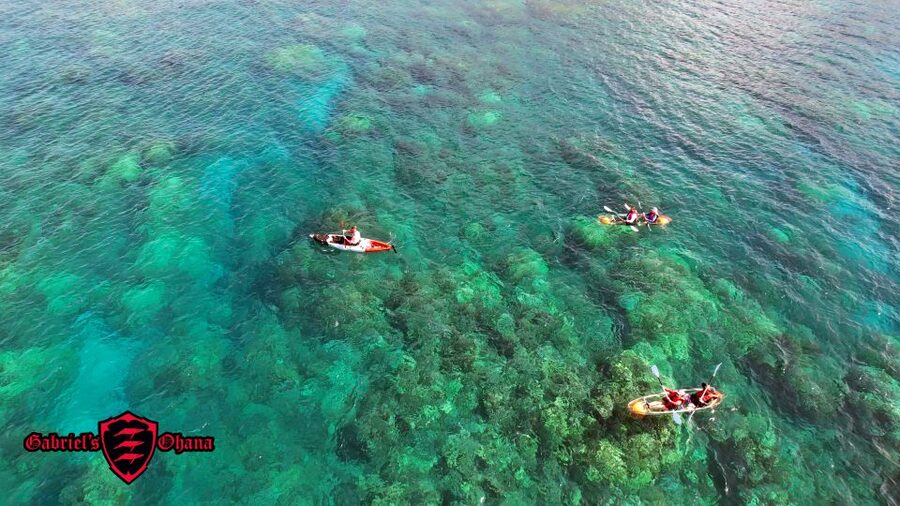 Olowalu: Guided Clear Kayak Tour - Unlimited - Booking Advice for Olowalu