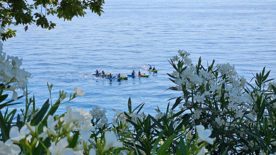 Opatija: Cliffs and caves kayak adventure - Who should book it