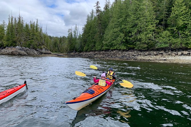 Orca Cove Sea Kayaking - Wildlife watching without a guarantee
